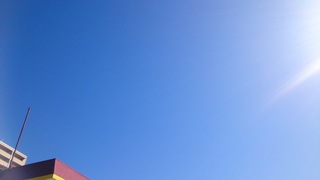 DSC_0217.jpg