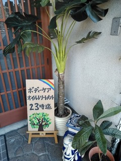 IMG_20180220_091317.jpg