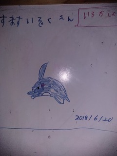 IMG_20180620_091123.jpg